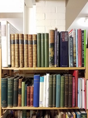 Lot 420 - Natural History. A large collection of late 19th century & modern natural history reference