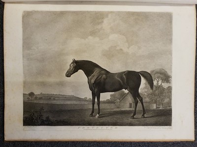 Lot 349 - Stubbs (George Townly, 1756-1815). A complete series of 14 stipple engravings of racehorses