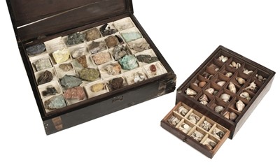 Lot 120 - Minerals & Shells. An old collection