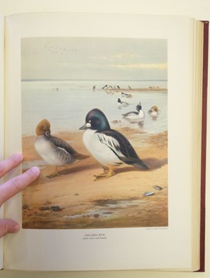 Lot 65 - Millais (J. G.). British Diving Ducks, 1st edition, 1913, one of 450 copies