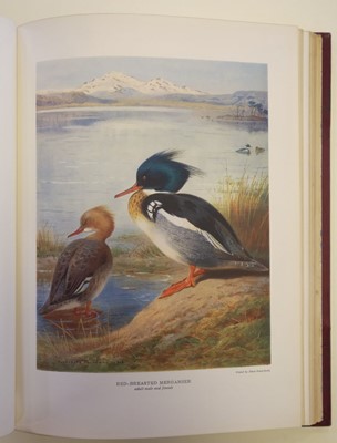Lot 65 - Millais (J. G.). British Diving Ducks, 1st edition, 1913, one of 450 copies