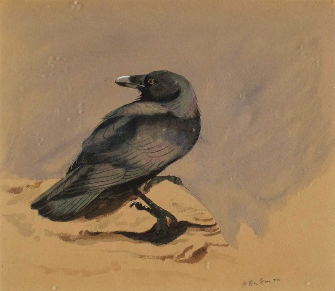 Lot 651 - Rickman (Philip, 1891-1982). A Crow, watercolour on paper