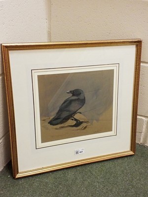 Lot 651 - Rickman (Philip, 1891-1982). A Crow, watercolour on paper