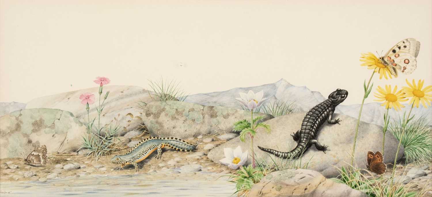 Lot 618 - Barrett (Peter, 1935-). Lizards and butterflies in a rocky landscape