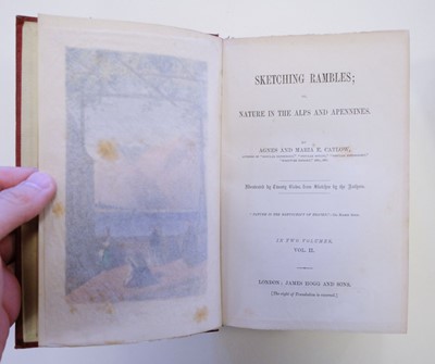 Lot 6 - Catlow (Agnes and Maria E.) Sketching Rambles, 2 vols, 1861