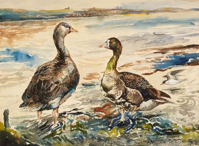 Lot 653 - Southgate (Frank, 1872-1916). Greylag Goose on flooded marshes at Salthouse, Norfolk