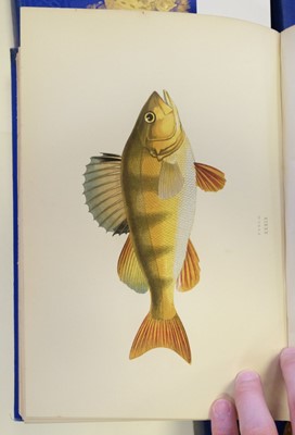 Lot 62 - Couch (Jonathan). A History of the Fishes of the British Islands, 1877-1878
