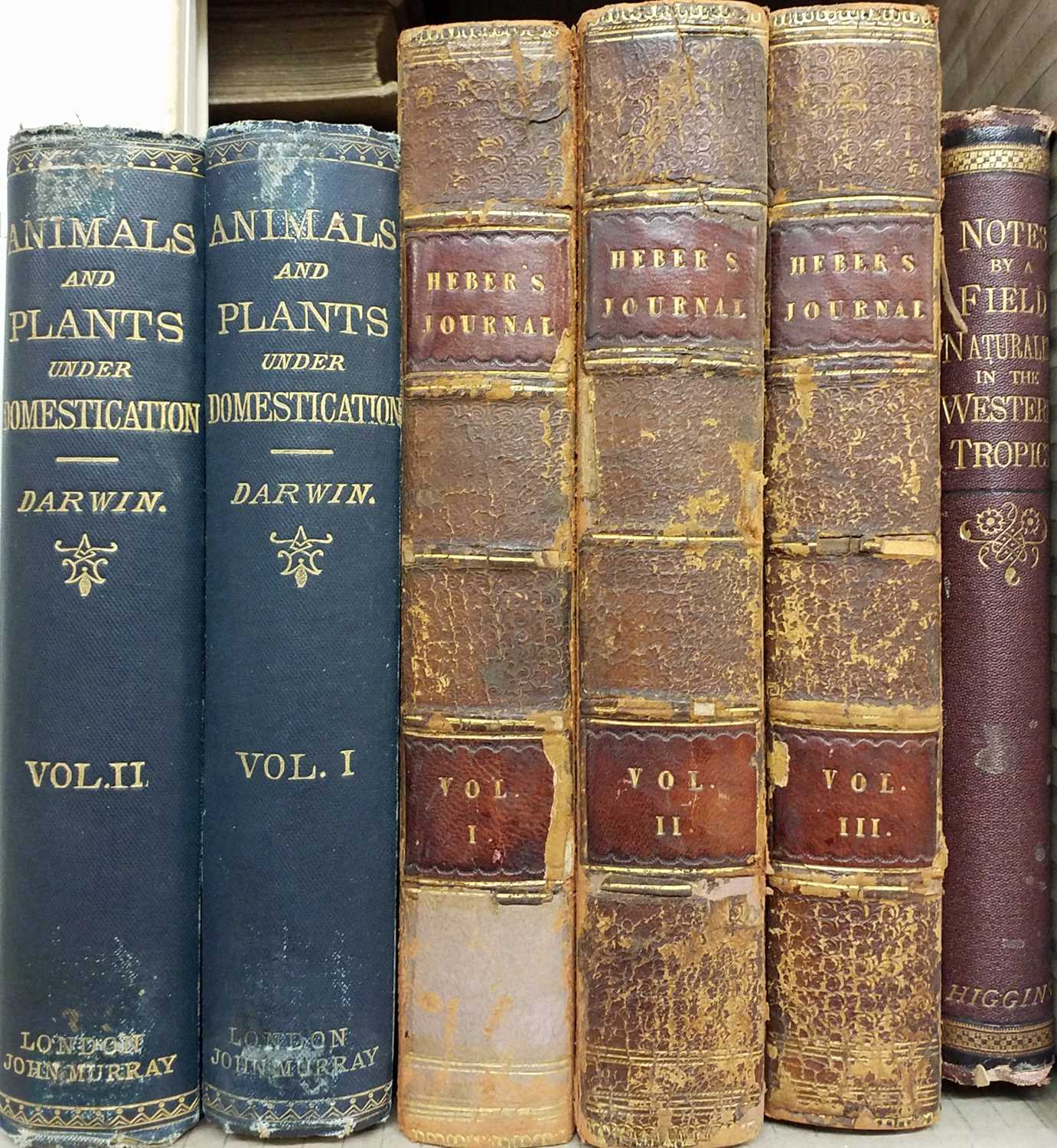 Lot 282 - Natural History. A collection of 19th & 20th-century natural history reference
