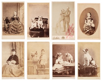 Lot 131 - Dogs.  A group of 8 cartes des visites and 7 cabinet cards featuring dogs of various sizes