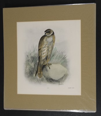 Lot 564 - Natural History. A collection of approximately 240 prints, mostly 19th century