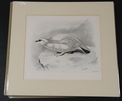 Lot 564 - Natural History. A collection of approximately 240 prints, mostly 19th century