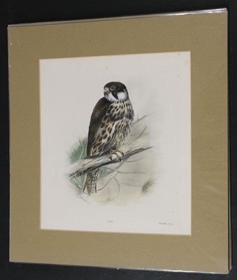 Lot 564 - Natural History. A collection of approximately 240 prints, mostly 19th century