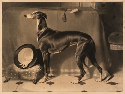 Lot 559 - Landseer (Thomas). Eos. A Favourite Greyhound, The Property of H. R. H. Prince Albert, 1843