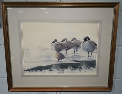 Lot 568 - Powell (William E.). Woodcock, circa 1920