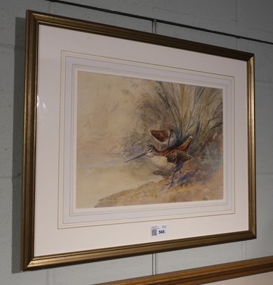 Lot 568 - Powell (William E.). Woodcock, circa 1920