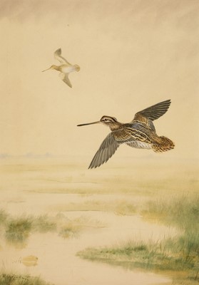 Lot 575 - Rickman (Philip, 1891 - 1982). A Wisp of Snipe