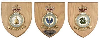 Lot 494 - Air Vice-Marshal Harold Bird-Wilson. RAF Squadron badges
