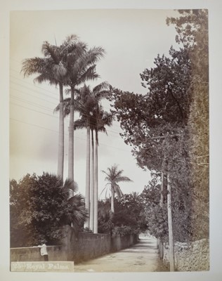 Lot 63 - Bermuda. An album of 24 mounted, circa 1890