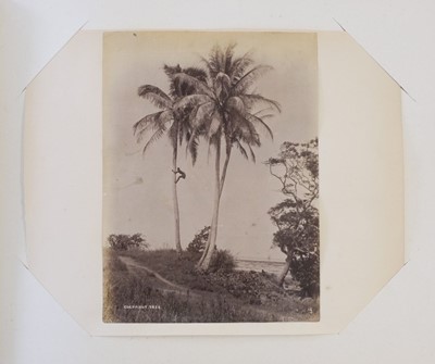 Lot 203 - South Seas. A pair of photograph albums