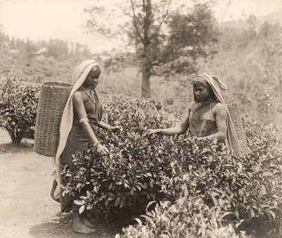 Lot 122 - Ceylon & India. An album containing approximately 70 mounted platinum and gelatin silver prints
