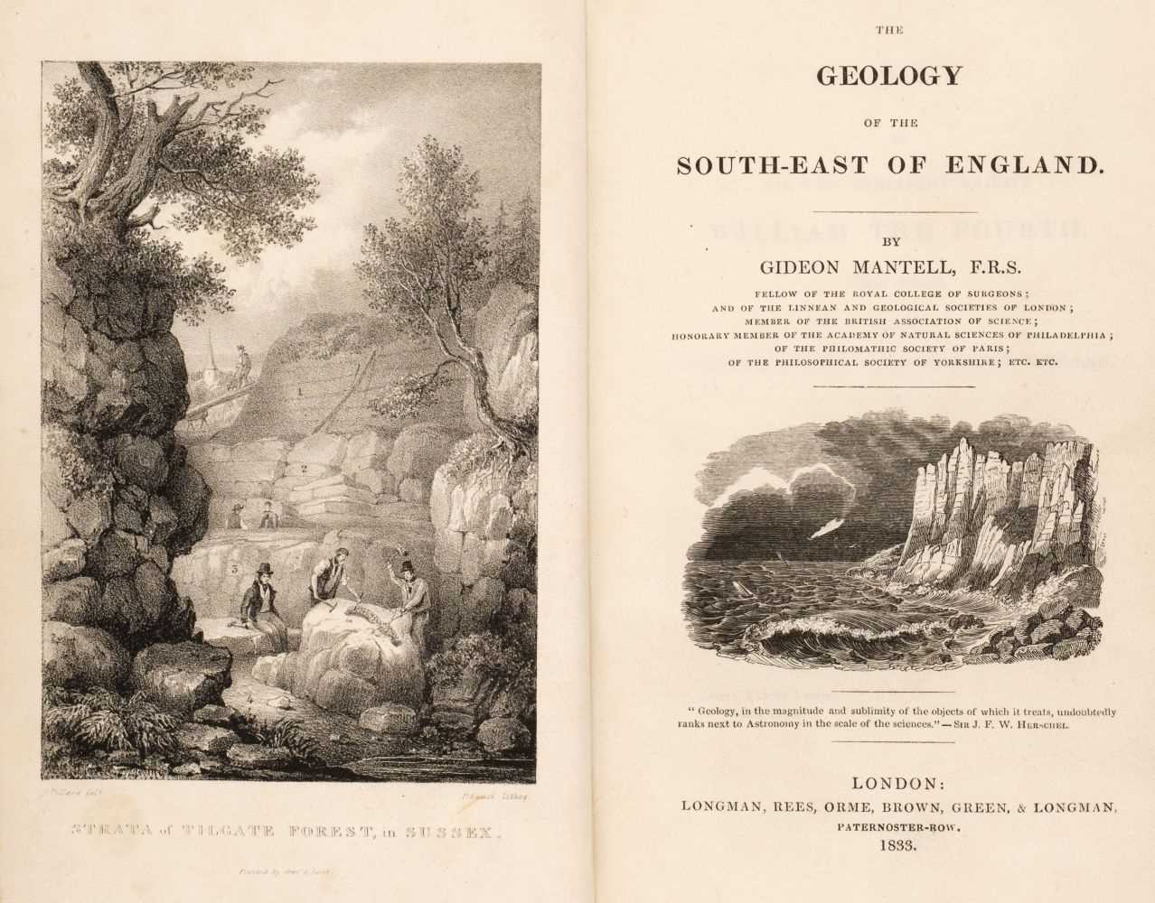 Lot 96 - Mantell (Gideon). The Geology of the South-East of England, 1st ed., 1833