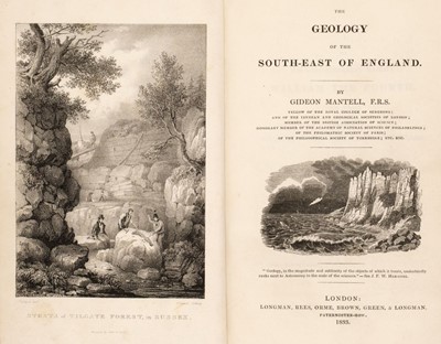 Lot 60 - Mantell (Gideon). The Geology of the South-East of England, 1st ed., 1833