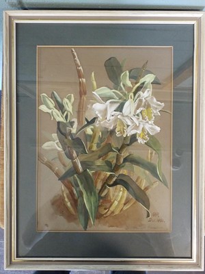 Lot 372 - Botanical Watercolours. 4 Original Watercolours, 1879-87