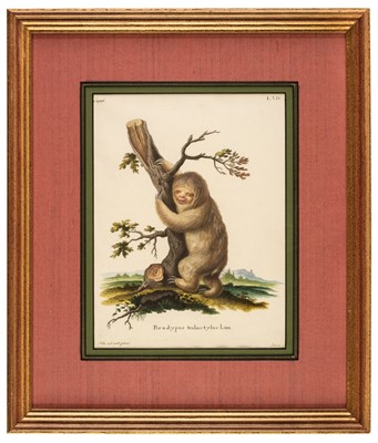 Lot 404 - Natural History. A collection of 12 engravings, circa 17800