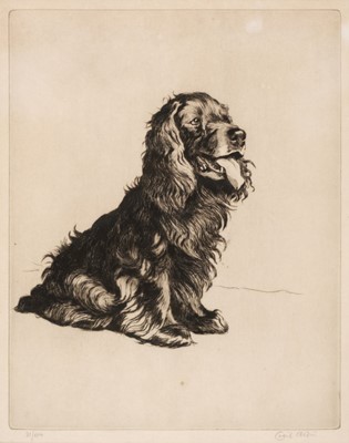 Lot 346 - Aldin (Cecil Charles Windsor, 1870 - 1935). A most Popular Gentleman (Spaniel)