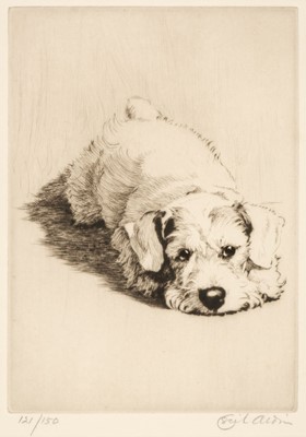 Lot 348 - Aldin (Cecil Charles Windsor, 1870 - 1935). A Sealyham Puppy