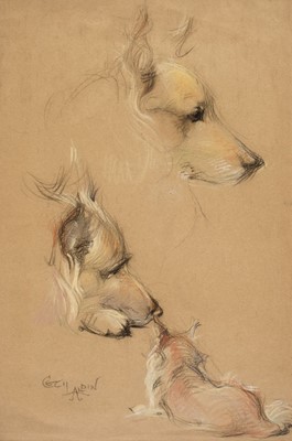 Lot 361 - Aldin (Cecil Charles Windsor, 1870 - 1935). Studies of a Collies head