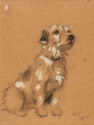 Lot 364 - Aldin (Cecil Charles Windsor, 1870 - 1935). Terrier study