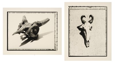 Lot 337 - Ryan (Seamus, 1964-). A pair of artist proof photographs of animal skulls, c. 2000