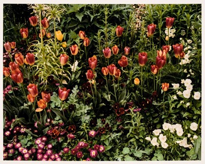 Lot 338 - Shore (Stephen, 1947-). Monet's Garden, Giverny, France, c. 1980, chromogenic print