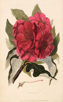Lot 103 - Morris (Richard). Flora Conspicua, 2nd edition, 1830