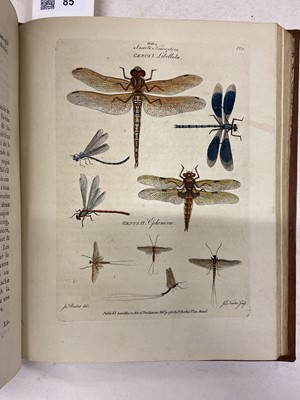 Lot 85 - Barbut (Jacques). The Genera Insectorum of Linnaeus, 1781