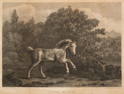 Lot 319 - Stubbs (George, 1724-1806). Horse at Play, by W. Byrne, 1795