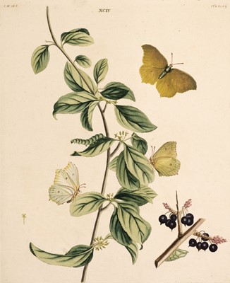 Lot 218 - Butterflies, Moths & Insects. A mixed collection of approximately 100 prints, 19th century