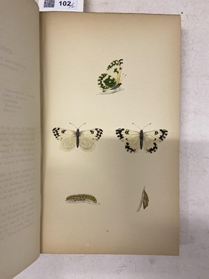 Lot 102 - Morris (F.O.). A History of British Butterflies, 1872