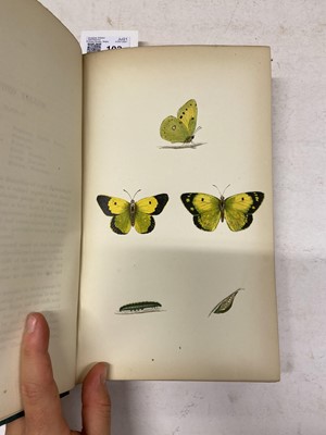 Lot 102 - Morris (F.O.). A History of British Butterflies, 1872