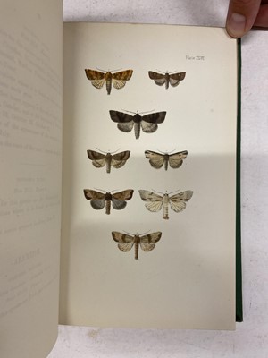 Lot 86 - Morris (F.O.) A Natural History of British Moths, 4 volumes, 1872