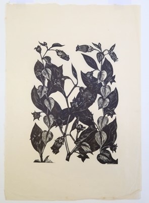 Lot 435 - Nash (John, 1893-1977). Yew Taxus Baccata Taxaceae, Illustration for ‘Poisonous Plants.