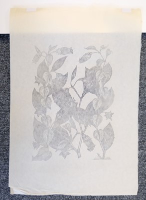 Lot 435 - Nash (John, 1893-1977). Yew Taxus Baccata Taxaceae, Illustration for ‘Poisonous Plants.