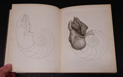 Lot 352 - Owen (Richard). Memoir on the Pearly Nautilus, 1st edition, London, Richard Taylor, 1832