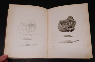 Lot 352 - Owen (Richard). Memoir on the Pearly Nautilus, 1st edition, London, Richard Taylor, 1832