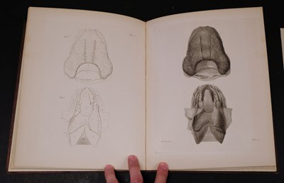 Lot 352 - Owen (Richard). Memoir on the Pearly Nautilus, 1st edition, London, Richard Taylor, 1832
