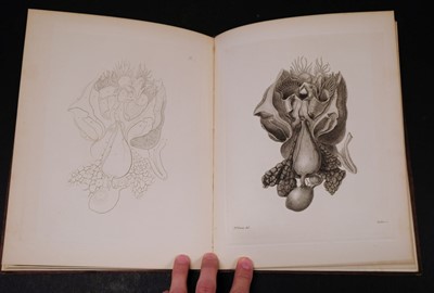 Lot 352 - Owen (Richard). Memoir on the Pearly Nautilus, 1st edition, London, Richard Taylor, 1832