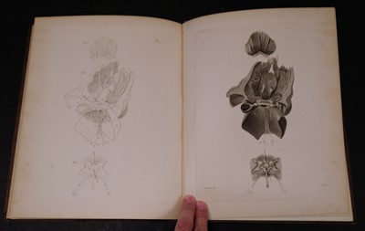 Lot 352 - Owen (Richard). Memoir on the Pearly Nautilus, 1st edition, London, Richard Taylor, 1832