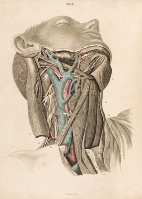 Lot 362 - Scarpa (Antonio). Engravings of the Cardiac Nerves, 2nd Edition, 1829 and others