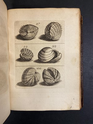 Lot 124 - Buonanni (Filippo). Ricreatione dell'occhio, 1st edition, Rome, 1681